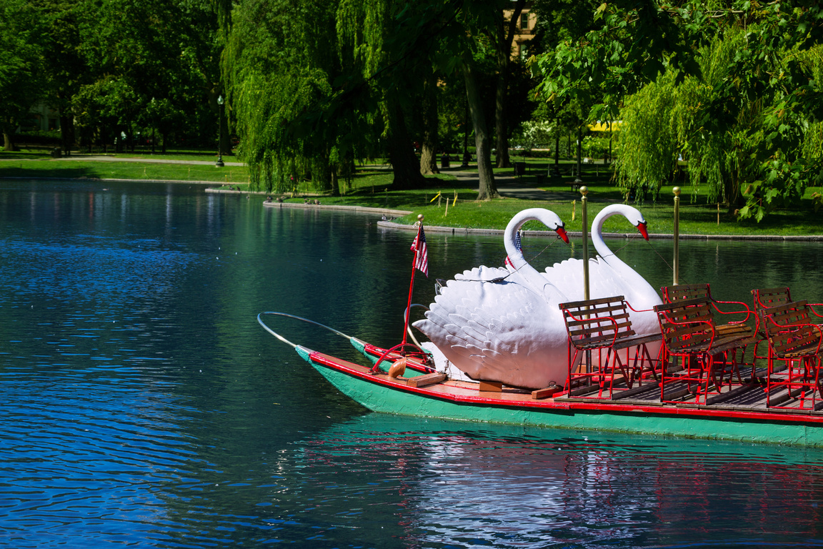 Boston Common Public Garden Swan Boats